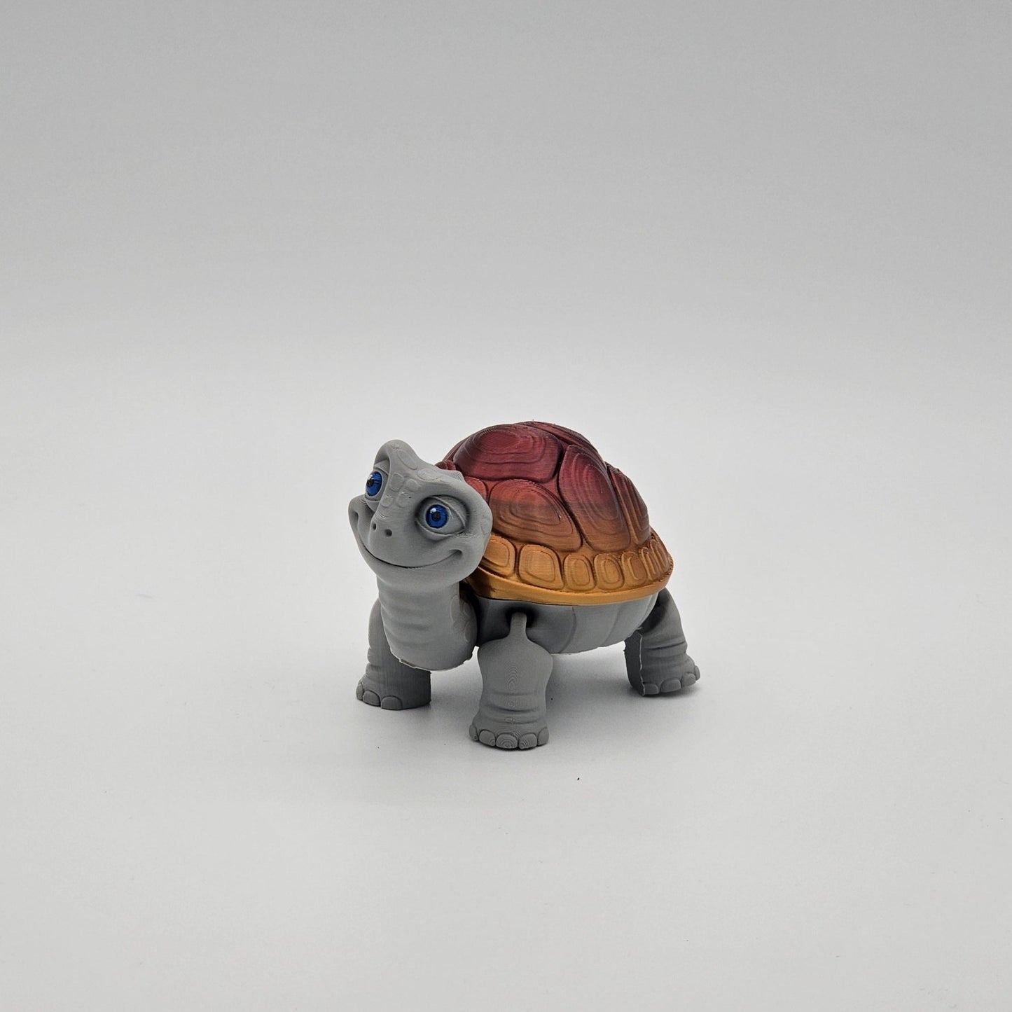 Tortoise storage Box