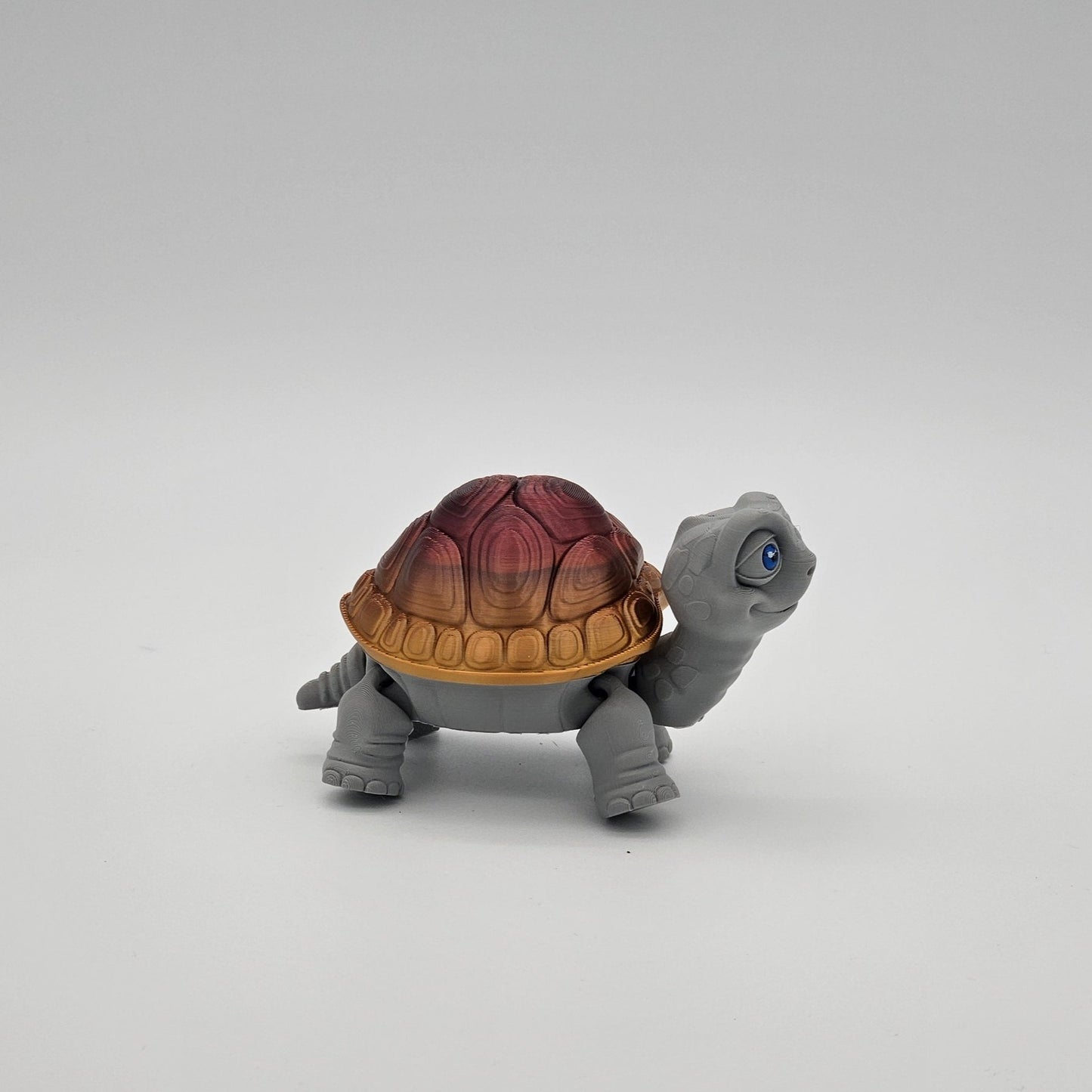 Tortoise storage Box