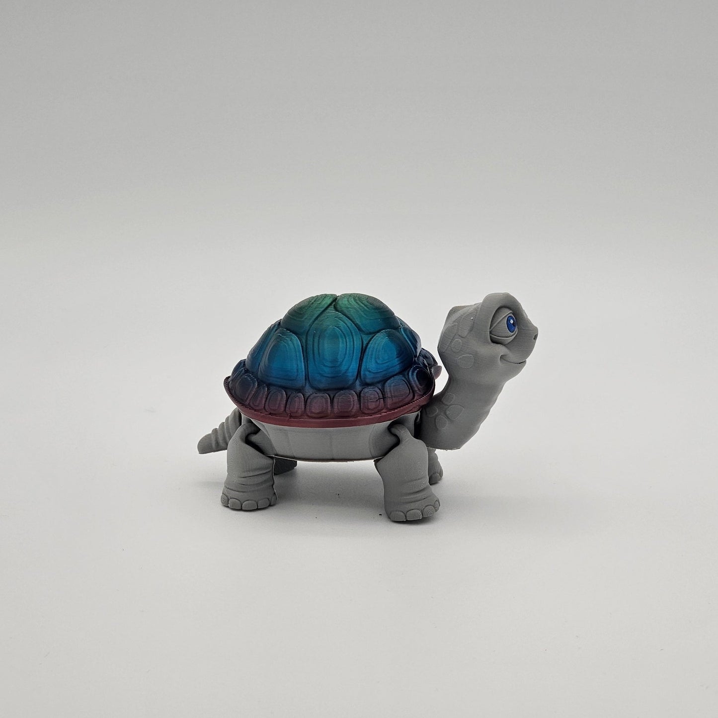 Tortoise storage Box